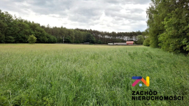 Budynek Socjalono-biurowy z magazynami na działce 2,32ha w miejscowości Racula na sprzedaż!!!